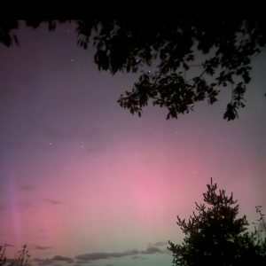 Northern LIGHTS HALF