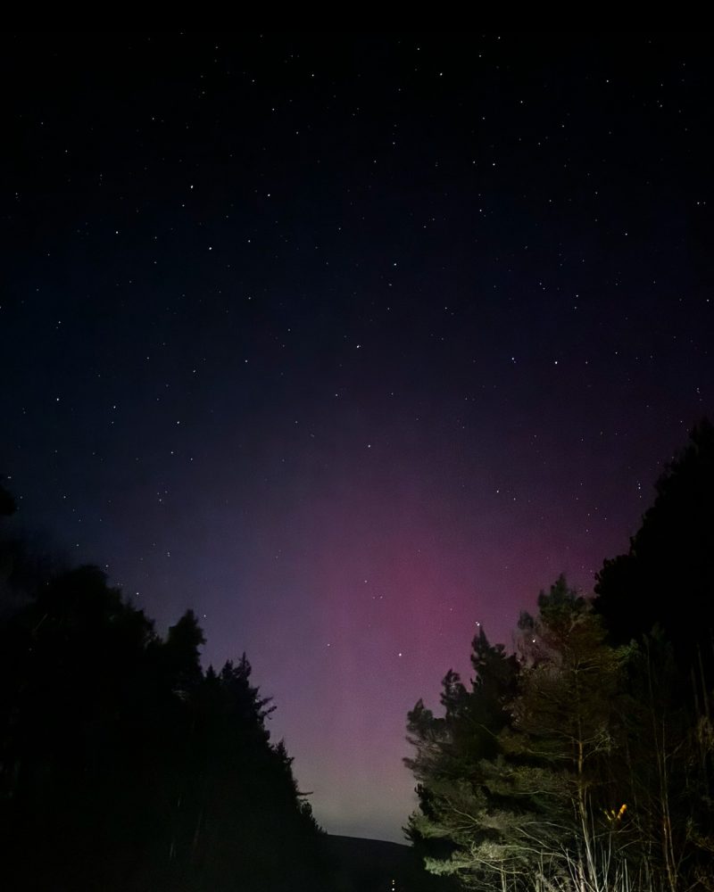 Midnight Radiance
